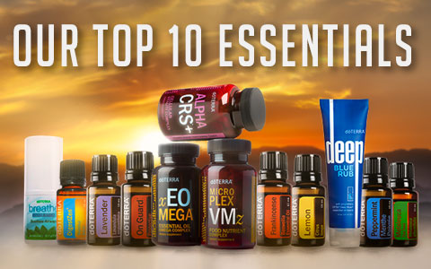 Our Top Ten Essentials